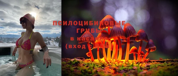 индика Заводоуковск