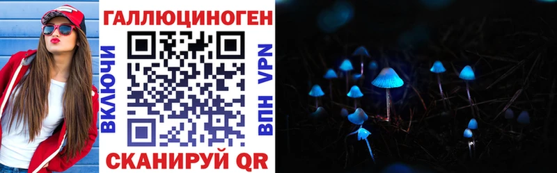 хочу наркоту Апшеронск Галлюциногенные грибы Psilocybe